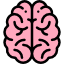 brain-icon